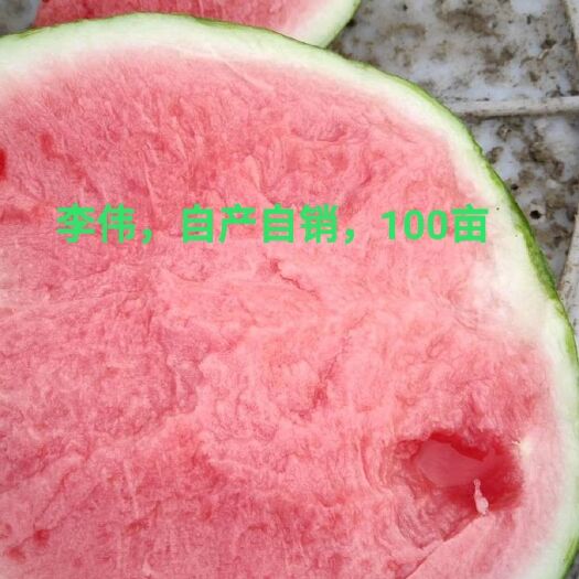 临泉县8424西瓜 精品，8424，包熟