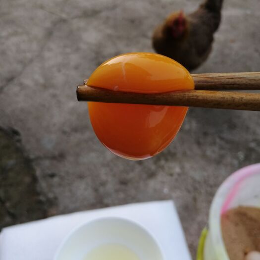 仪陇县 农家院子散养土鸡，土鸡蛋50枚起包邮