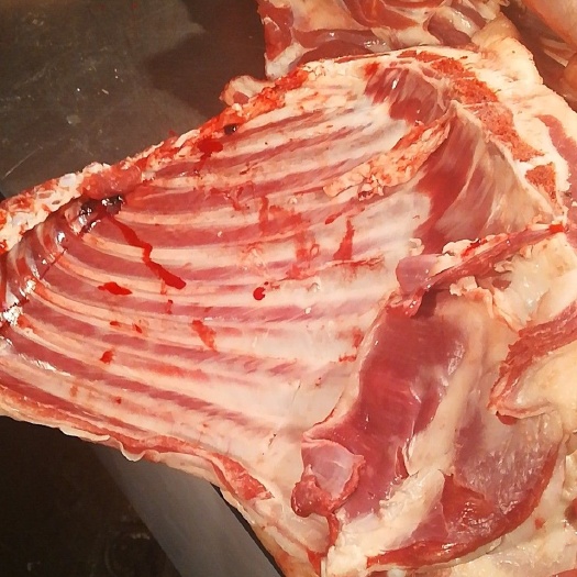 呼和浩特羊排 生肉
