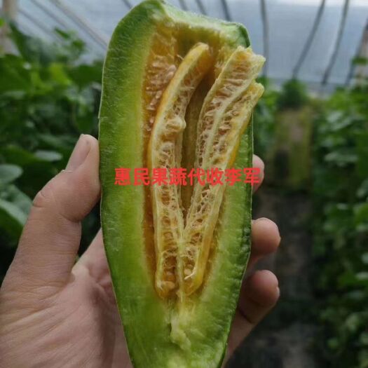惠民县羊角蜜甜瓜，（博洋六一甜瓜）万亩甜瓜基地火爆热销中！