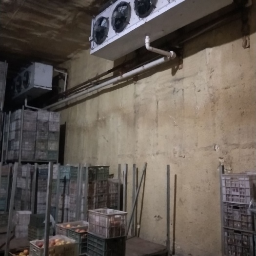 砀山县冷藏库租赁