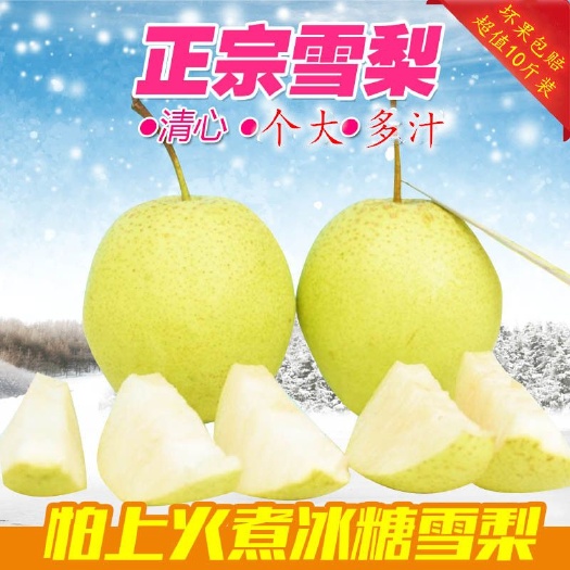 赵县赵州雪梨雪花梨批发，一件代发都支持，量大的来