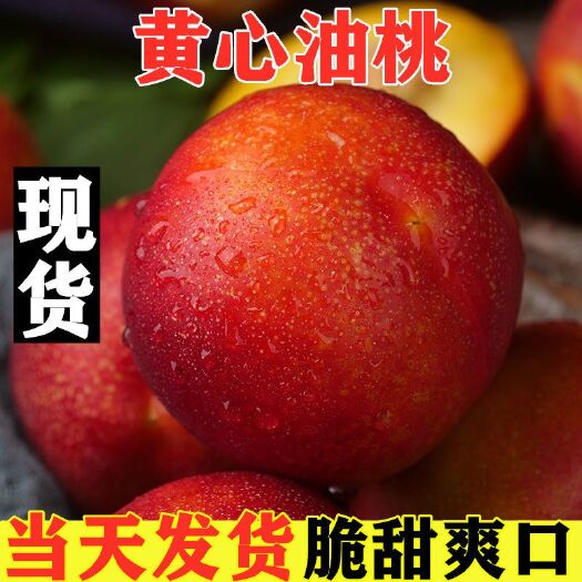 砀山县 砀山黄心油桃5斤新鲜水果包邮现摘现发对接电商一件代发批发整箱