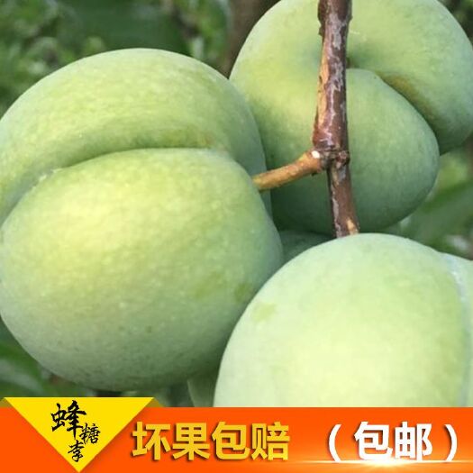 镇宁县 贵州六马蜂糖李脱骨李皮薄肉厚汁多且甜大人小孩都爱当季新鲜水