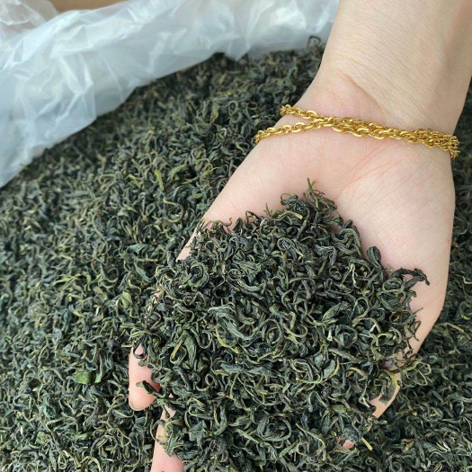 三江县龙井茶 1年以下