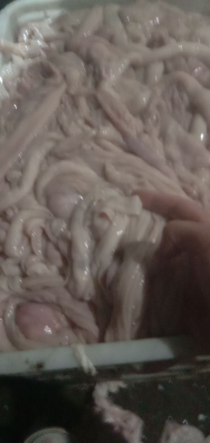 羊肠看质量