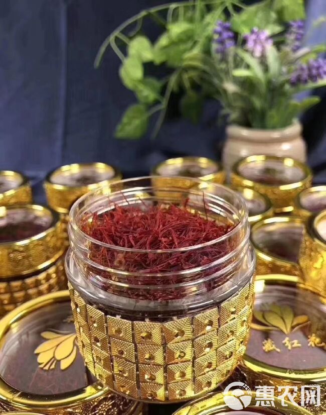 藏红花花丝  伊朗藏红花头期一级圆丝扁丝 品质保证 10克可以用一年