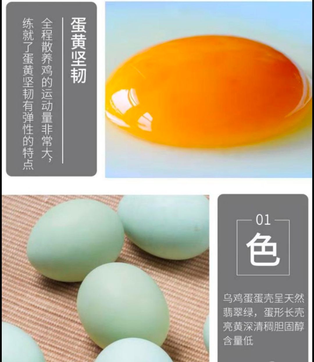 绿壳鸡蛋  30枚一件代发湖南耒阳农村散养绿壳土鸡蛋纯绿皮乌鸡蛋包邮