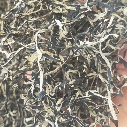木耳絲，皮耳絲，產(chǎn)地直發(fā)全國各地