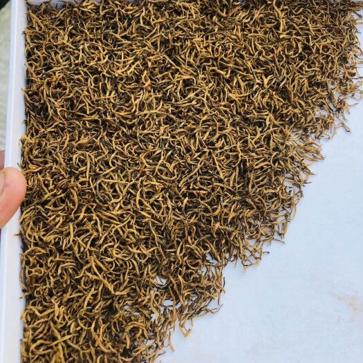 三江县 蜜香味金骏眉芽中芽