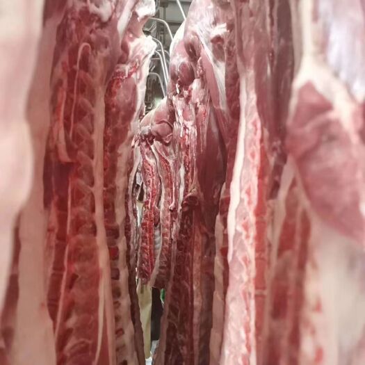 猪肉类 精品白条