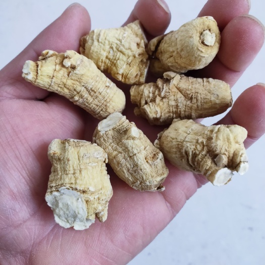 威海 中国西洋参之都文登 产地直供