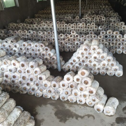 废弃食用菌棒 废菌包出售。价格好商量