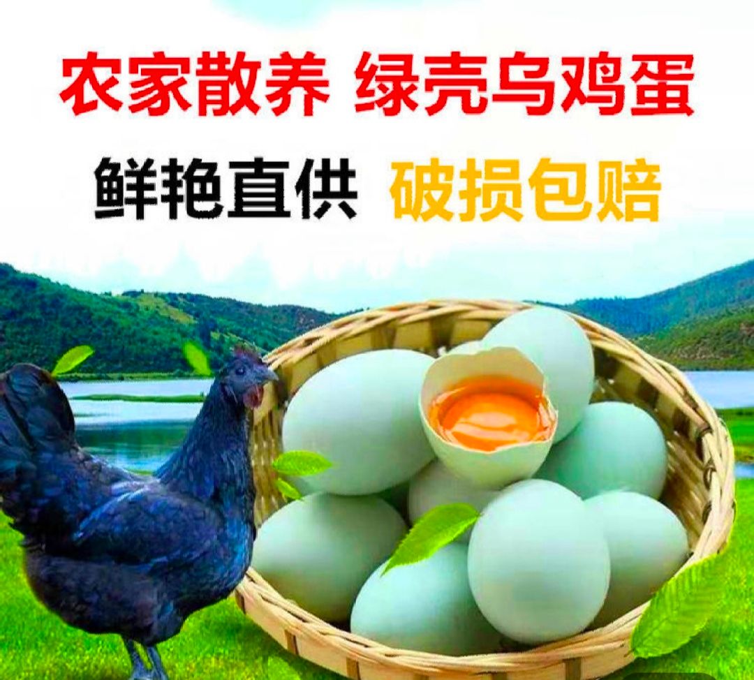 绿壳鸡蛋  30枚一件代发湖南耒阳农村散养绿壳土鸡蛋纯绿皮乌鸡蛋包邮
