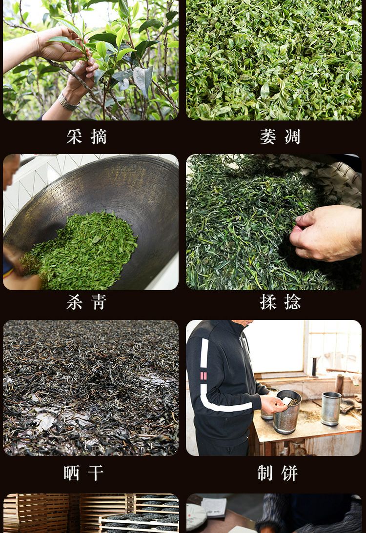  云南普洱茶熟茶普洱茶饼熟普勐库镇产地茶叶七子饼茶