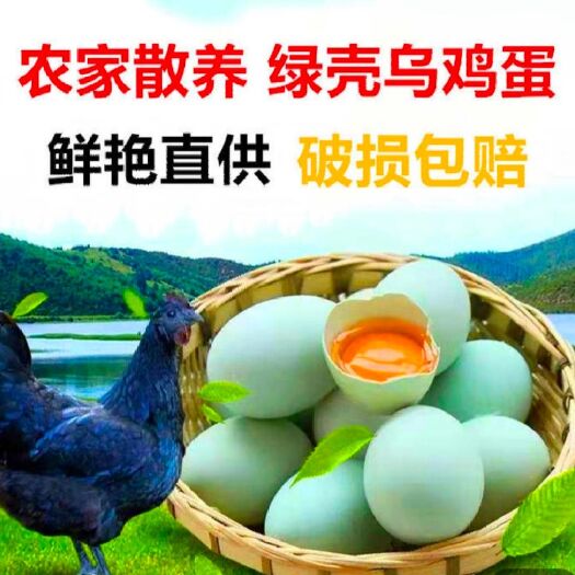 绿壳鸡蛋  30枚一件代发湖南耒阳农村散养绿壳土鸡蛋纯绿皮乌鸡蛋包邮