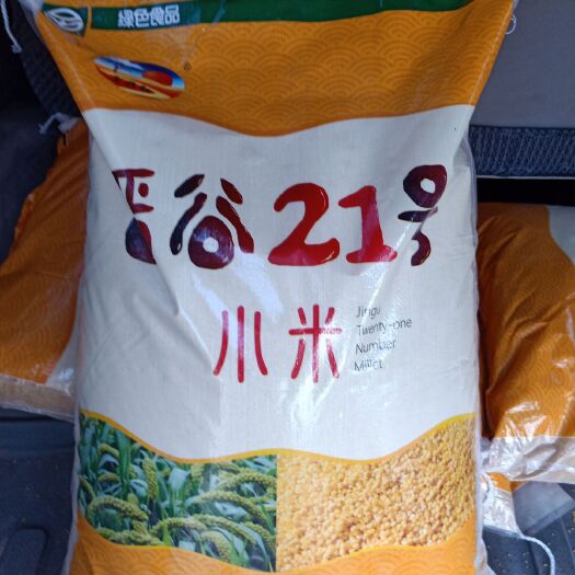 太原 山西小米，晋谷21号小米