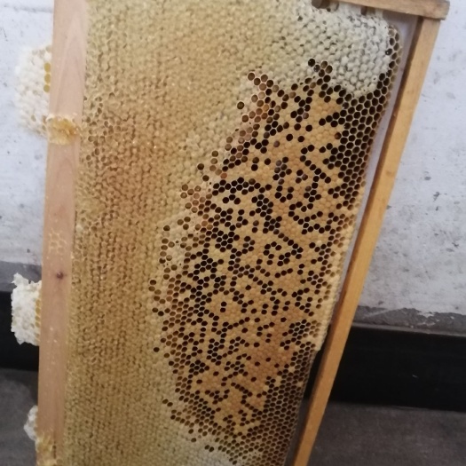 婺源县 最美乡村“婺源”土蜂蜜！