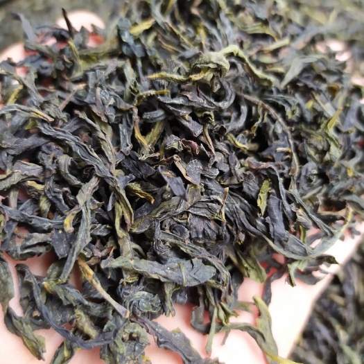 鸭屎香单枞茶潮州凤凰单丛茶清香鸭屎香单枞茶1斤1袋大乌叶单枞