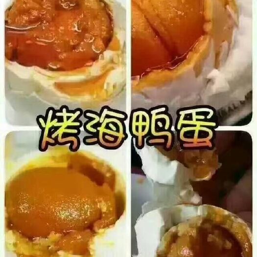 北海 广西北海 北部湾红树林 烤海鸭蛋 批发 正品