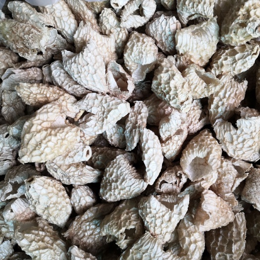 织金县贵州竹荪织金竹荪冬竹荪竹毛肚竹荪帽帽（特一商务）