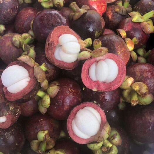 【坏损包赔包邮】泰国老树麻山竹果饱型满圆润~洁白果肉