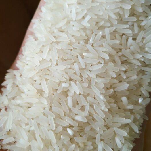 油粘米 广西壮族自治区贵港市港南区 籼米 一等品 晚稻