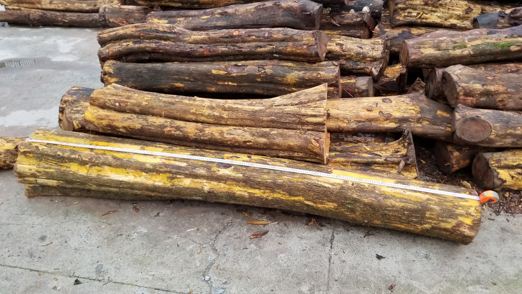 柘木 精品货源
