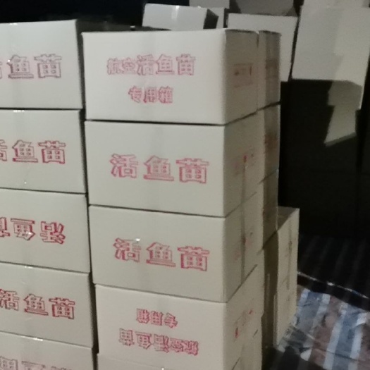 广州 农户直供鳜鱼苗桂花鱼苗公分起1234公分 保证零损耗到家