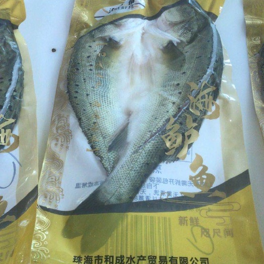 珠海 海鲈鱼，加州鲈鱼
