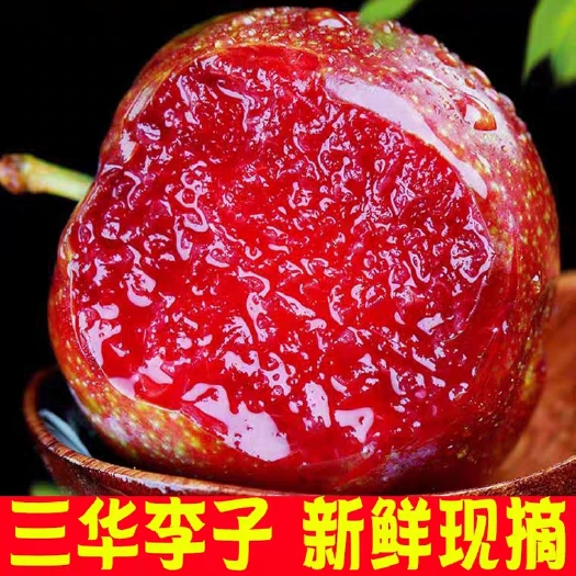 枣阳市 芙蓉李三华李红心李应季新鲜水果现摘现发5斤包邮孕妇水果