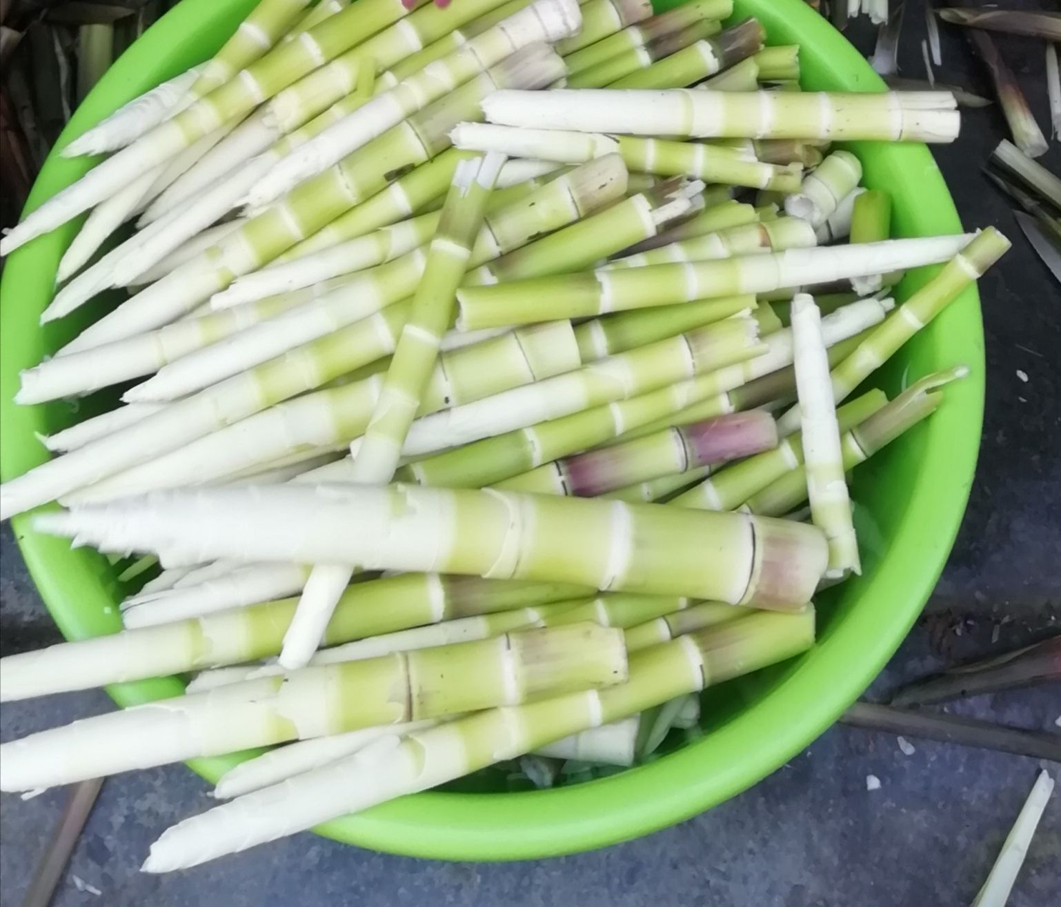  农家竹笋，味道你懂得