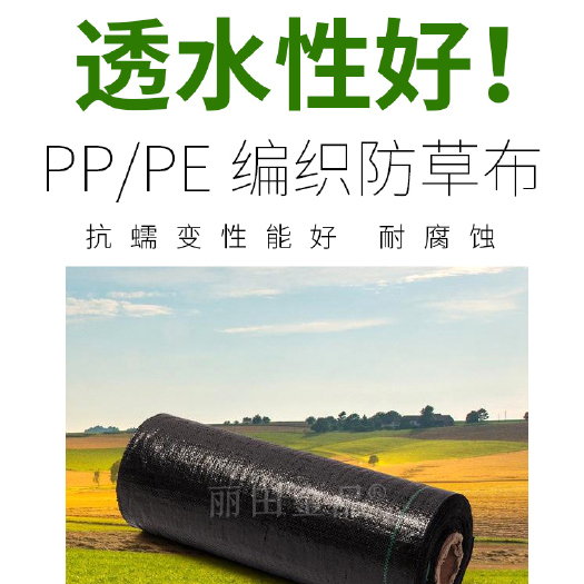 东莞市 编织防草布pp/pe防草布地布除草布