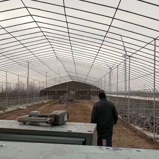 沭阳县大棚管 温室大棚厂，经营各类温室大棚