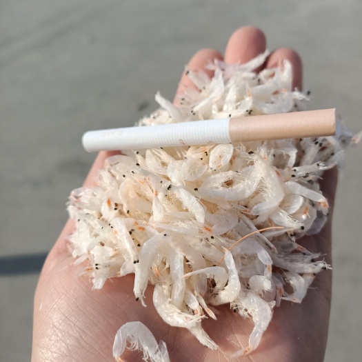 淡干无盐虾皮