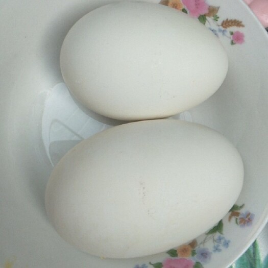 北京土鸡蛋 食用 礼盒装
