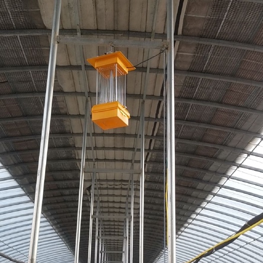 灭虫灯 市电输入，插电就能使用