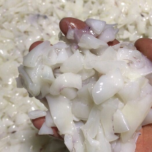 漳浦县 新鲜鱿鱼切片