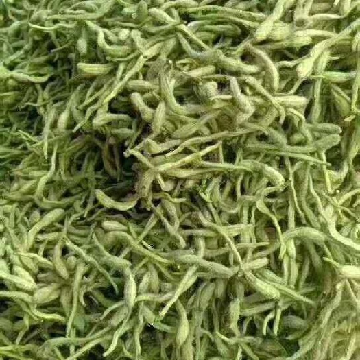 巨鹿县 金银花烘干货