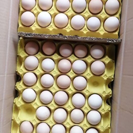 桂林 粉蛋