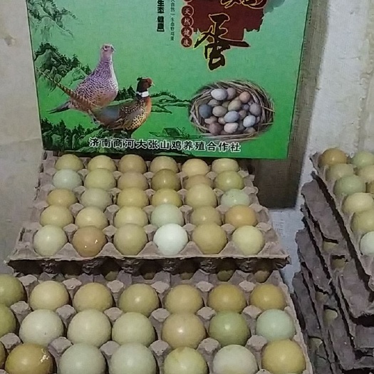 商河县土鸡蛋  七彩山鸡蛋是儿童的营养