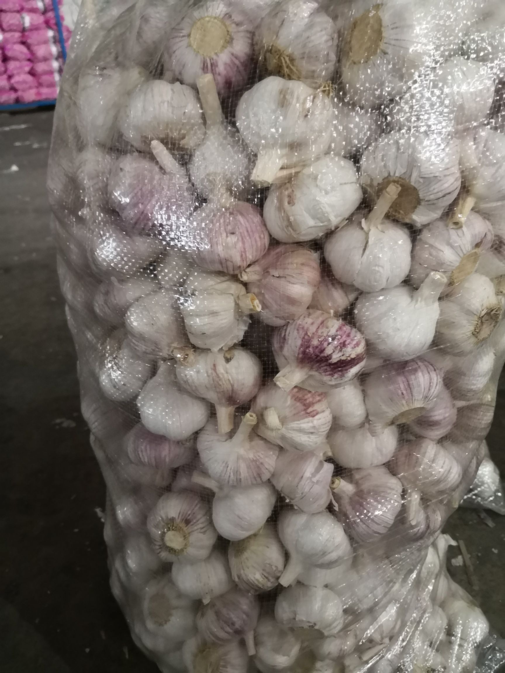 冷库租赁  出租冷库，代存大蒜
