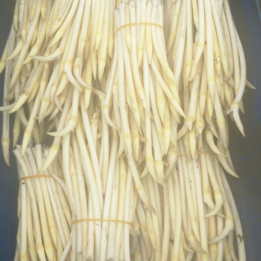 当阳市绿色食品:藕带