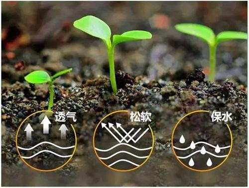 土壤微生物菌剂  ，根果旺生物菌剂，药渣颗粒。包邮
