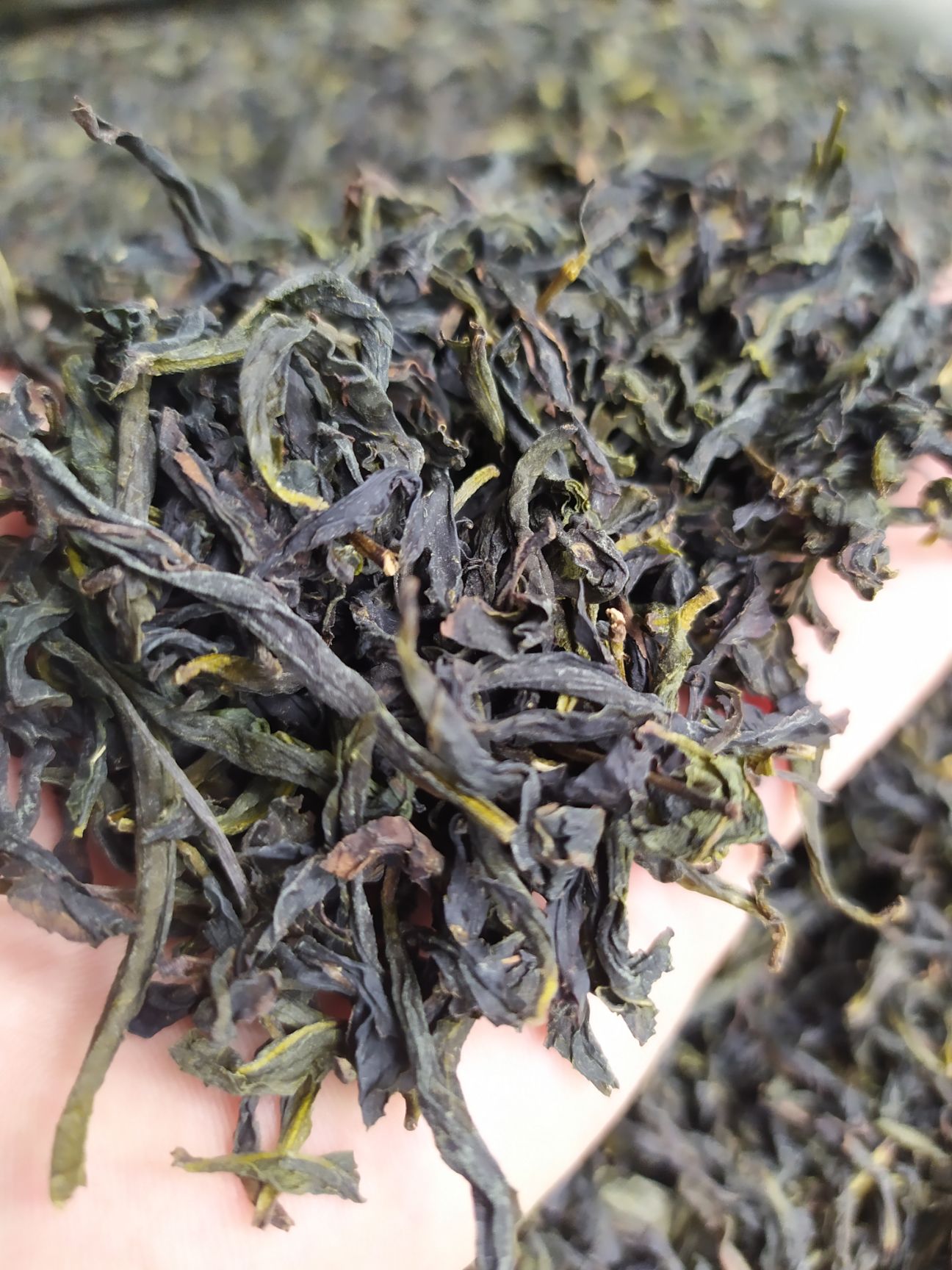鸭屎香单枞茶潮州凤凰单丛茶清香鸭屎香单枞茶1斤1袋大乌叶单枞