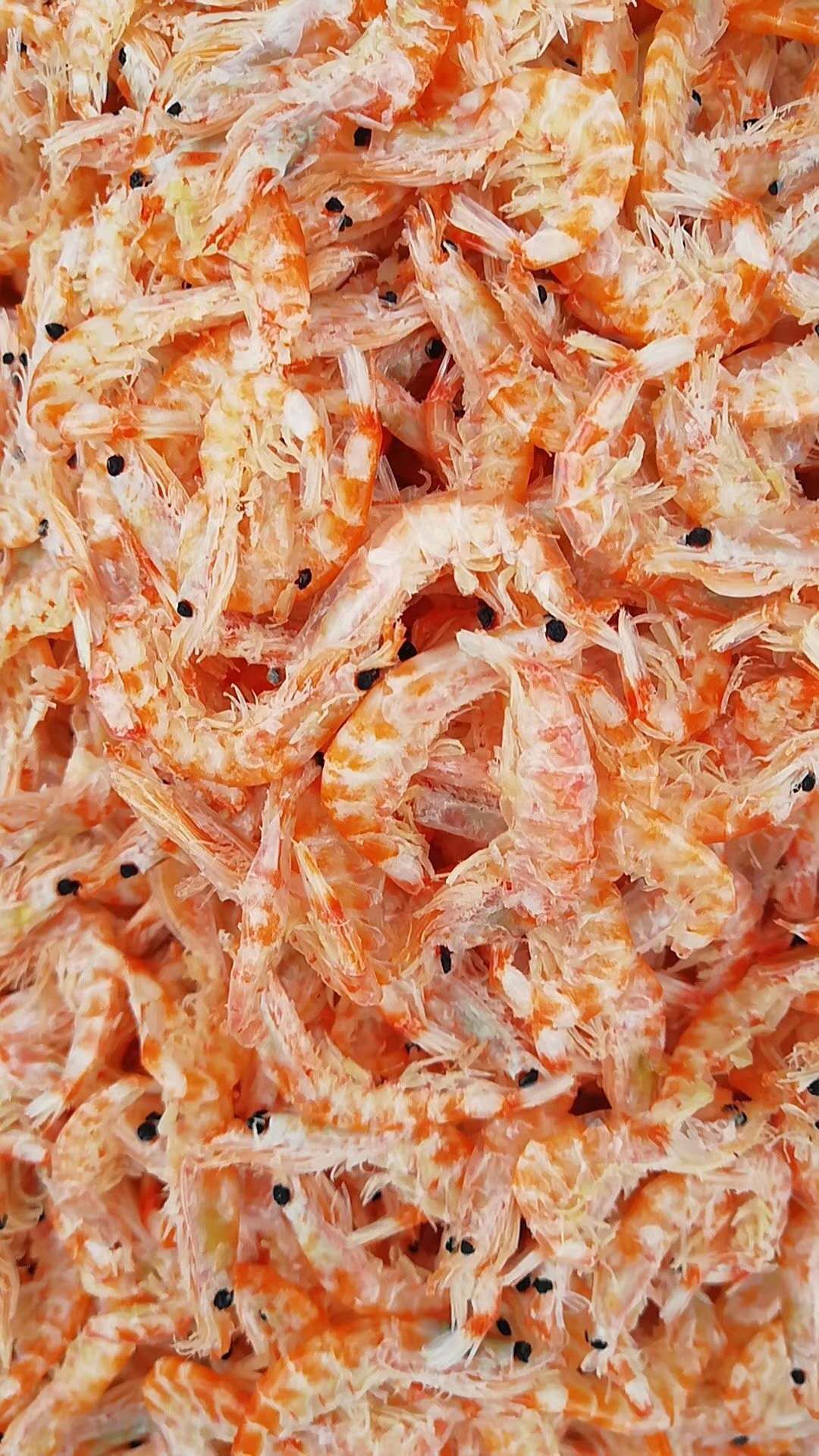 滨州磷虾