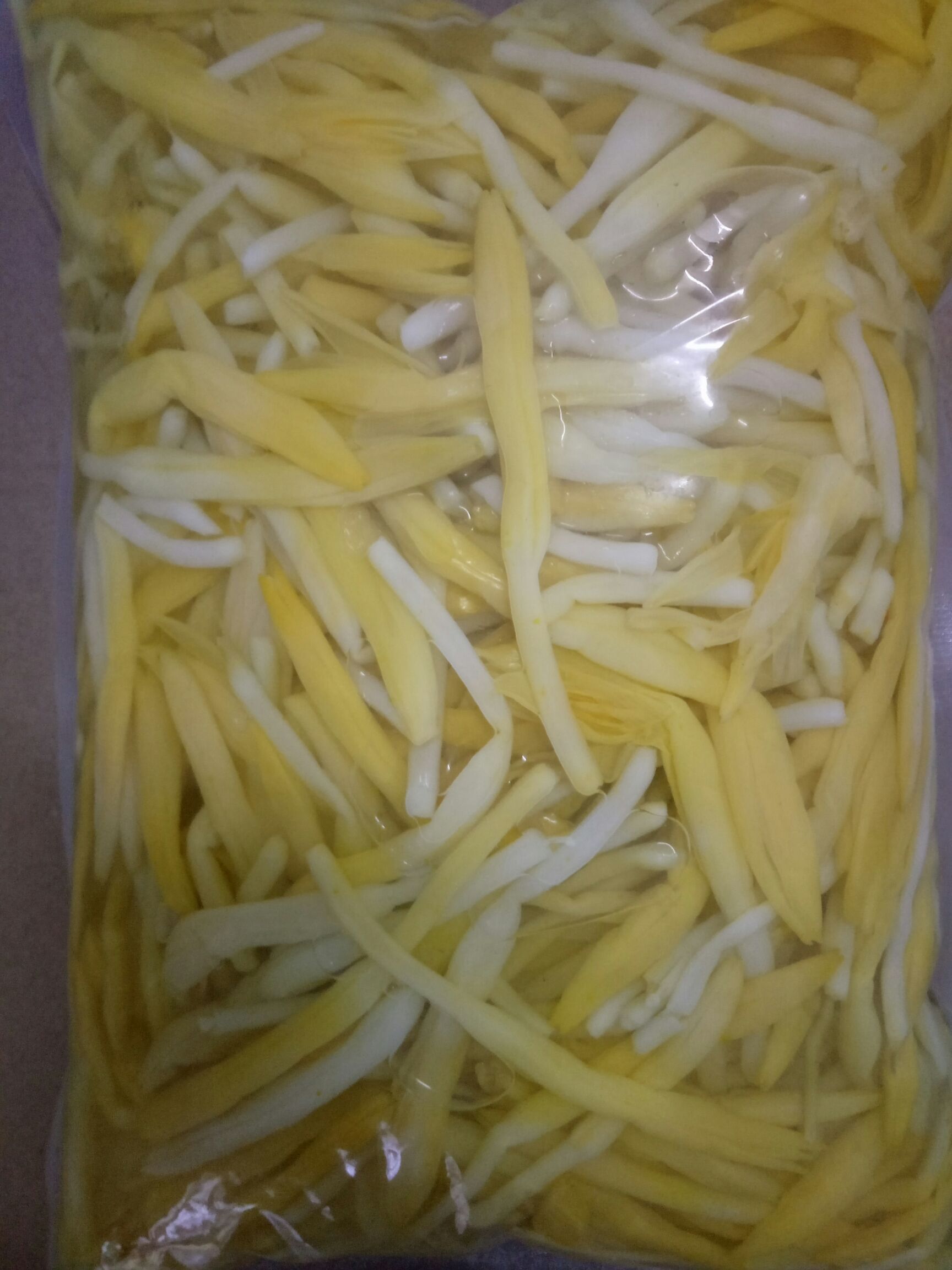 黄金针菇 鲜金针菇 未开伞