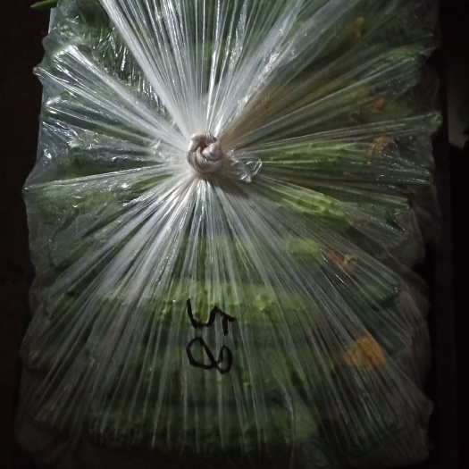 桦甸市 刚下带花黄瓜