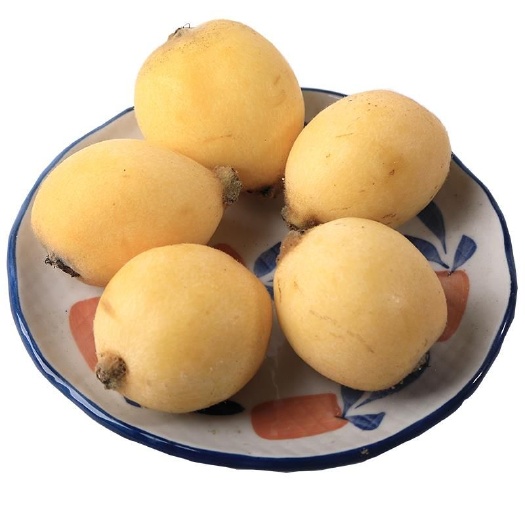 象山县 浙江枇杷