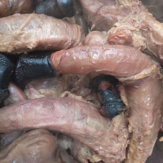 宁津县驴鞭  熟鞭全鞭，单鞭，金钱肉，驴三件